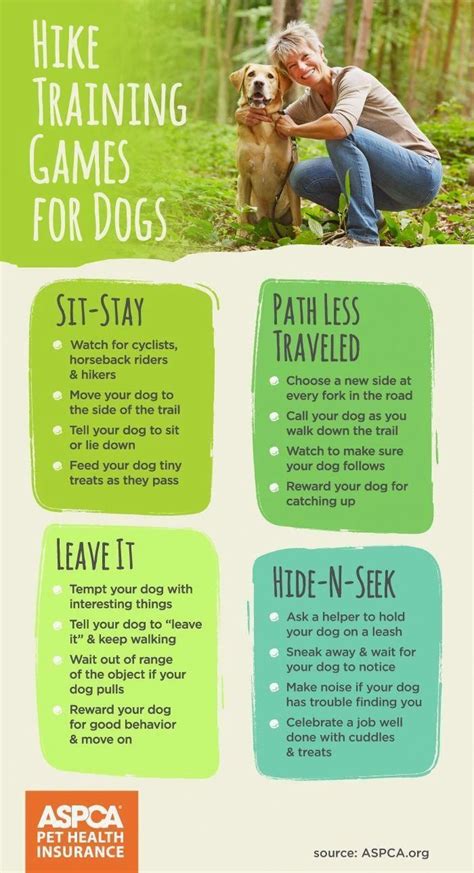 Basic Dog Training Click The Image For Various Dog Care And Training