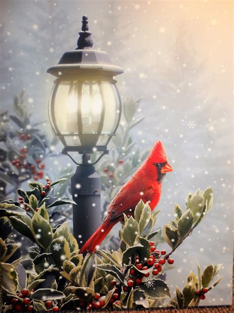 28 Best Ideas For Coloring Christmas Cardinal Pictures