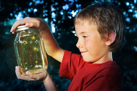 Catch Fireflies Nighttime Summer Activities For Kids Popsugar Moms