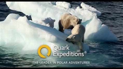 Polar Bears On The Ice Youtube