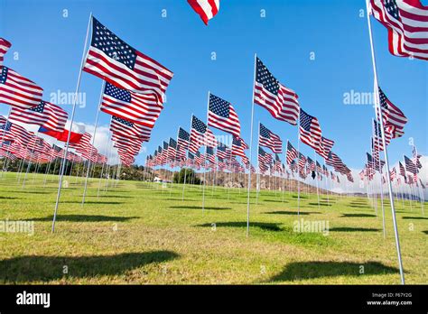 American Flags Displaying On Memorial Day Stock Photo Alamy