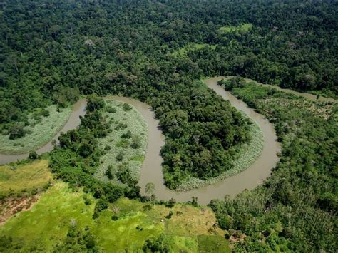 Daerah Aliran Sungai Menyusuri Bentuk Dan Wilayah Aliran Airnya