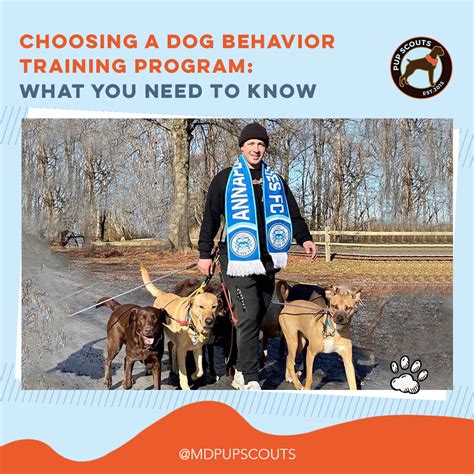 Choosing A Dog Behavior Training Program What You Need To Know Oc