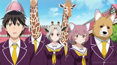 This Anime All The Girl Animals Are Cute Humanoids With Animal Horns