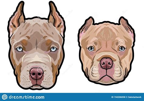 Pitbull Dog Heads Full Color Vector Illustration Set Stock Vector