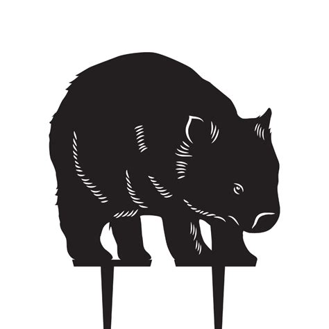 Wombats Png Images Transparent Free Download Pngmart