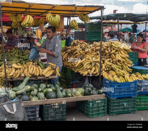 Farmers Market In Zapote Costa Rica Stock Photo Alamy