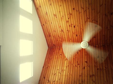 Is it due to noisy ceiling fan bearings? Why Is My Ceiling Fan Making A Humming Noise | Ceiling Fan