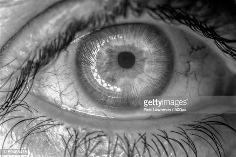 Close Up Eye Iris Black And White Photos And Premium High Res Pictures