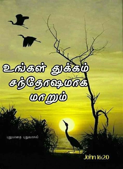 See more ideas about bible words, tamil bible, scripture. Pin by Tamil mani on Tamil Bible Verse Wallpapers (With ...