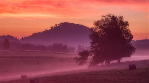 3840x2160 Misty Morning Sunrise 5k 4k Wallpaper Hd Nature