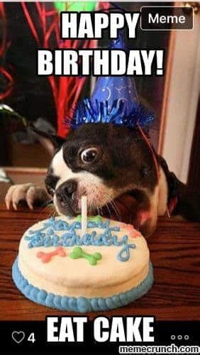 100 Happy Birthday Dog Memes
