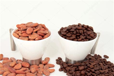 Coffee And Cocoa Beans — Stock Photo © Worldnews 8582532