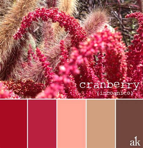 Cranberry Brown Color Palette Cranberry Color Color