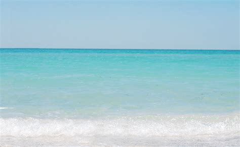 Bird Walking Along The Beach Beaches  183501