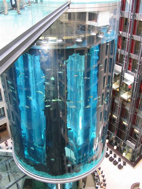 Berlin Sealife Aquarium | Aquarium, Sealife, Deep sea