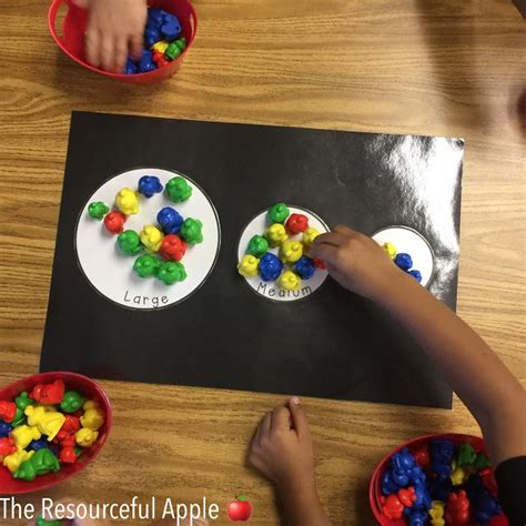 Hands On And Engaging Math Activities That Focus On Counting Sorting