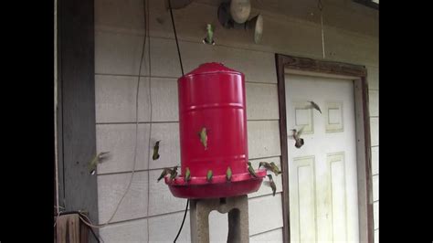 You'll need to follow a few tips to make sure there's nothing added that's harmful to the birds such as red dye. DIY 5 Gallon Hummingbird Feeder - YouTube