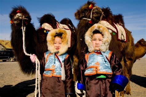 Govi Altai To Host Camel Festival Newsmn