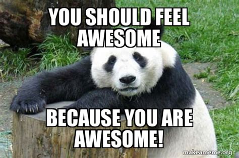 You Are Awesome Meme Captions Cute Viral