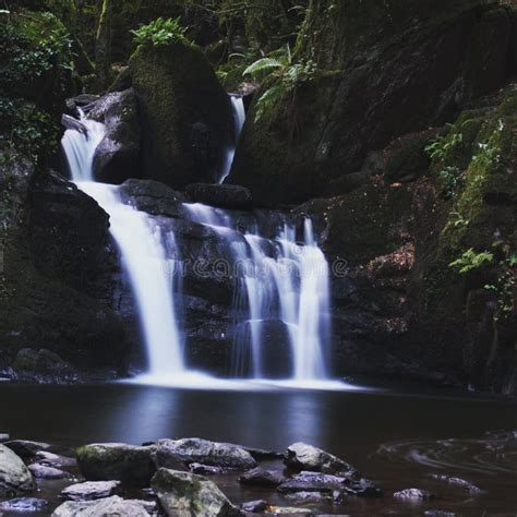 Slow Shutter Stock Image Image Of Water Silky Waterfall 83869353