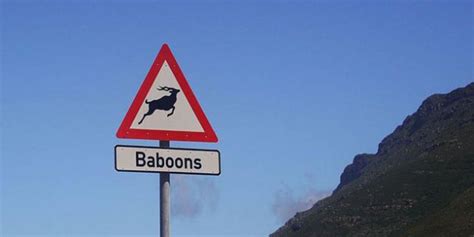 30 Hilariously Weird Road Signs Offbeat