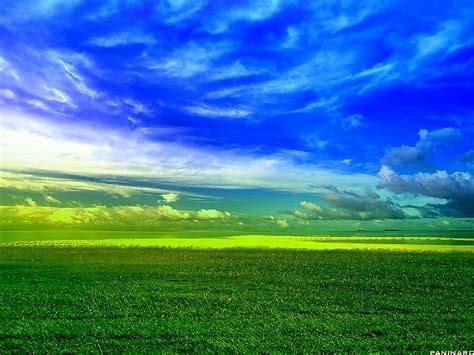 Hdr Photos Green Nature Background 🔥 Best Free Download Pictures