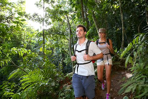 Hiking Tours Reveal The Natural Attractions Of Guadeloupe Hiking Packages
