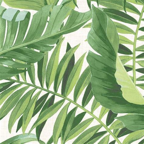 Alfresco Tropical Palm Wallpaper By Brewster Lelands Wallpaper