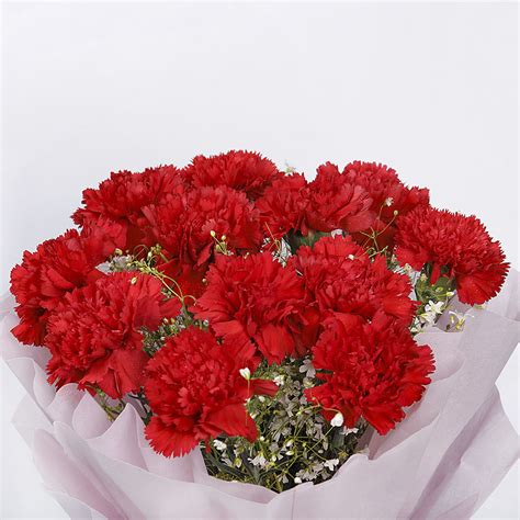 12 Red Carnations Winni