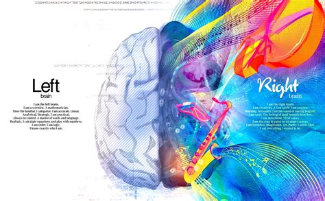 The left brain (or dominant hemisphere) has a focus in analysis, extracting individual elements of experience. Left Brain Right Brain Wallpaper (67+ images)