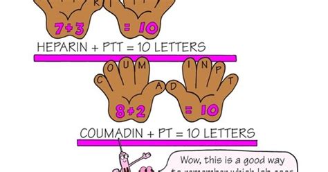 The partial thromboplastin time (ptt; heparin/coumadin - PTT/PT - how to remember which lab test ...