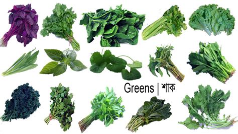 Greens Or Leafy Greens Names Meaning Image Necessary Vocabulary