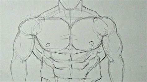 Chest Muscles Anatomy Drawing How To Draw Man Muscles Body Anatomy