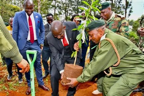 Kenya Pcea Church To Plant 15 Billion Tress By 2032 Under Tree