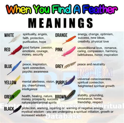 Maybe you would like to learn more about one of these? when you find a feather meanings - Google Search | MBR ...