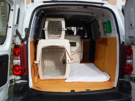 Transport De Votre Animal Taxi Animalier Vannes 56 Animo Services