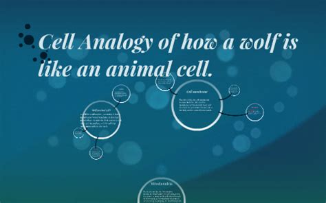 I'm comparing the animal cell to a restaurant. Cell Analogy of how a wolf is like an animal cell. by Lisa ...