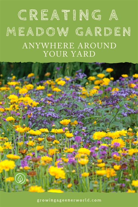 How To Create A Meadow Garden In Your Yard Or Landscape A Single