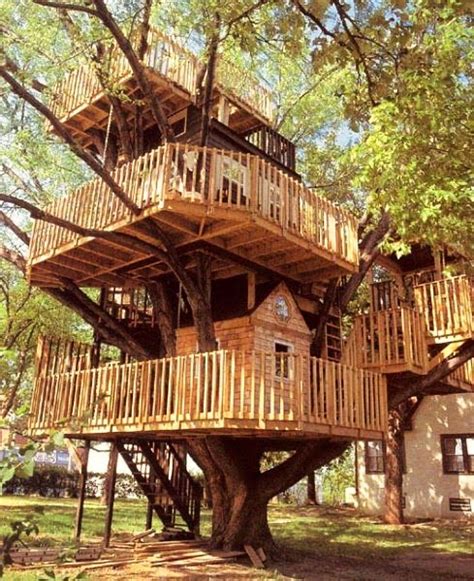 Collection 99 Pictures Picture Of A Tree House Excellent