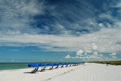 8 Amazing Beaches Near New Port Richey FL Wild