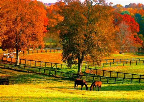 Horses In Autumn Pictures Two Horses Watercolor Fall Flickr Photo