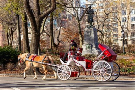 Horse Drawn Carriage Rides Through Central Park New York