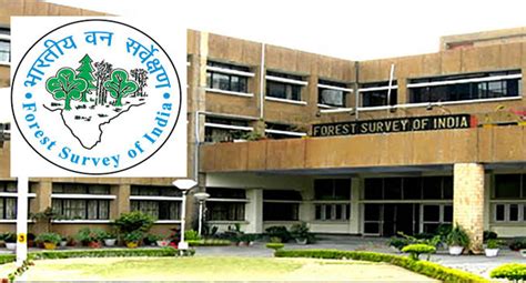 Forest Survey Of India Recruitment 2022 Technical Associate