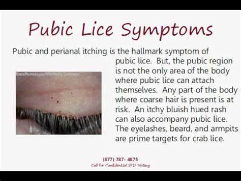 This means the common belief that cold sores aren't contagious once they've keep reading to learn more about how cold sores spread and how you can protect those around you when you have one. Prescription medicine for cold sores, treatment for crabs ...