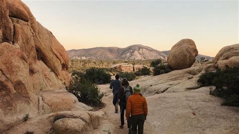 Joshua Tree National Park Hiking And Camping Rei Adventures