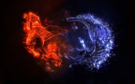47 Fire And Ice Wolf Wallpaper Wallpapersafari