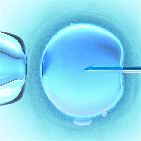 Sex Science And Society After 40 Years Of Ivf Featured News