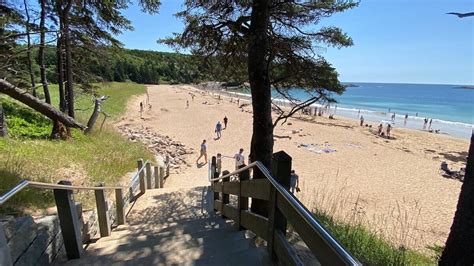 Sand Beach Visitors Guide Acadia National Park Acadia East Campground