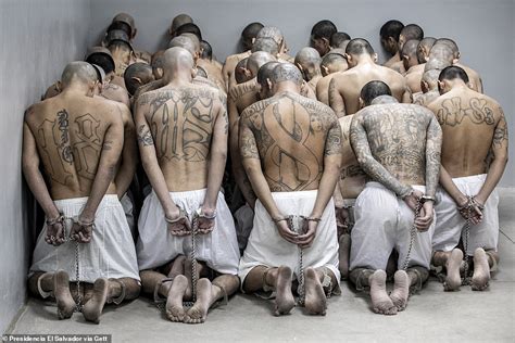 El Salvador Mega Prison Takes Another Intake Of Gang Members 247 News